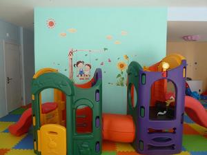 起步走圖片集錦