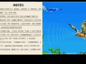 蝙蝠和雷達