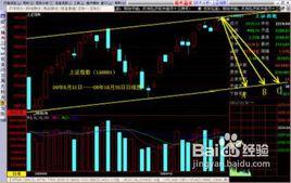 大基數公理 大基數公理