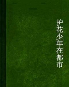護花少年在都市