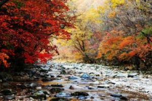 蒲石河景區 蒲石河景區