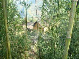 麻栗保自然村 麻栗保自然村