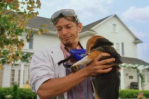 《貓狗大戰》[美國2001年勞倫斯·加特曼執導喜劇電影]