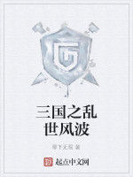三國之亂世風波 三國之亂世風波