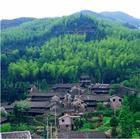 水碓坑村 水碓坑村