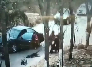 2·9河北司機肇事打人事件 2·9河北司機肇事打人事件