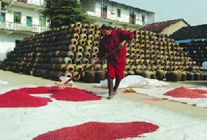 金華酒傳統釀造技藝