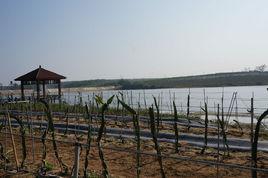 海南紅豫農場 海南紅豫農場