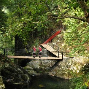 羅溪國家森林公園