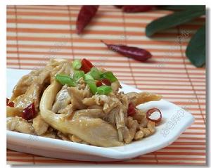 雞丁金頂菇 雞丁金頂菇