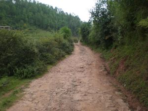 後白仁自然村 後白仁自然村