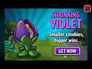 縮小紫羅蘭宣傳圖