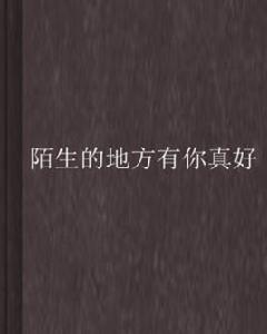 陌生的地方有你真好 陌生的地方有你真好