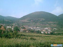 大坪子村[雲南省宣威市羊場鎮大坪子村]