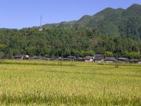 關山腳自然村 關山腳自然村