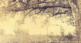 秋意[秋天的意境]