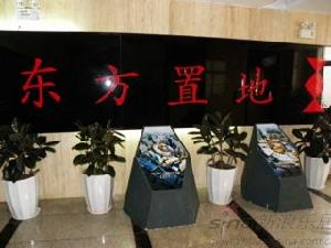 明珠東方城 明珠東方城