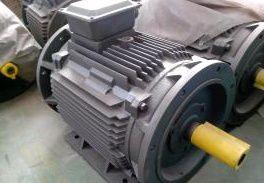 雙軸伸異步電動機 雙軸伸異步電動機