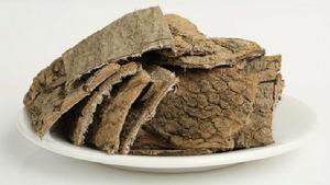 汝陽杜仲 汝陽杜仲