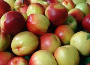 超五月火 超五月火