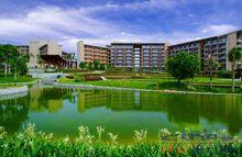 三亞亞龍灣紅樹林度假酒店