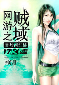 網遊之賊域 網遊之賊域