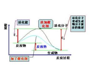活化能 活化能