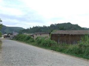 棒弄自然村 棒弄自然村