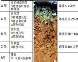 土壤肥力 土壤肥力