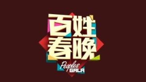 百姓春晚 百姓春晚