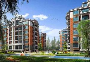 萬強藝術家 萬強藝術家