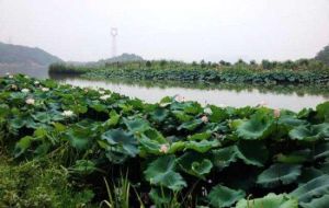 金龍水寨旅遊景區 金龍水寨旅遊景區