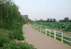 荊襄生態公園 荊襄生態公園