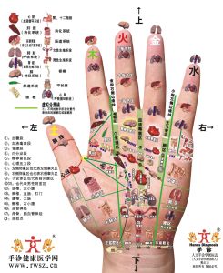 手診醫學 手診醫學