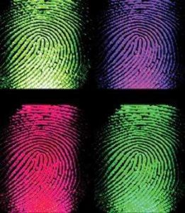 指紋節點 指紋節點