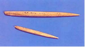 第四小組:說明文寫作課之條理清楚地說明事物(4)