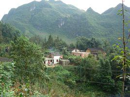 火燒坡自然村 火燒坡自然村