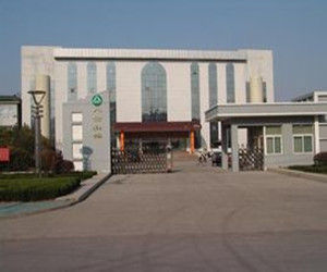 八公山鎮 八公山鎮