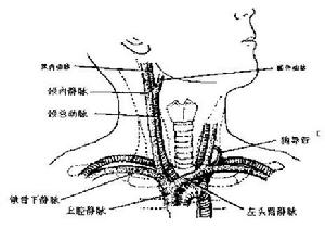 中心靜脈壓測定