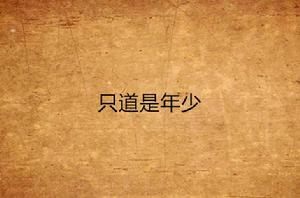 只道是年少[小說]