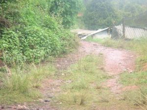 小黃草壩自然村 小黃草壩自然村