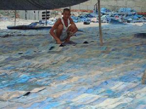 東侯家村 東侯家村