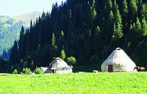 唐布拉大草原 唐布拉大草原
