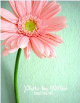 百分百的幸福綿長 百分百的幸福綿長