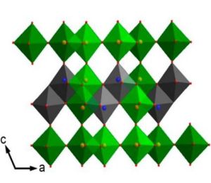 納米網路 納米網路