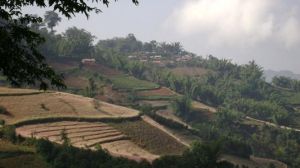 南東自然村 南東自然村