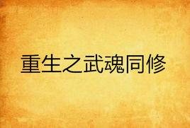 重生之武魂同修 重生之武魂同修