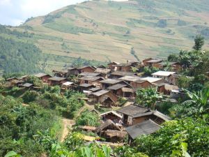 新上寨村 新上寨村