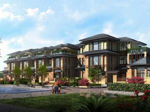 美錦雲天 美錦雲天