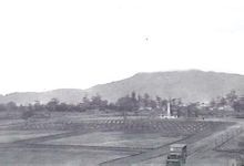 千鳥淵公墓 千鳥淵公墓